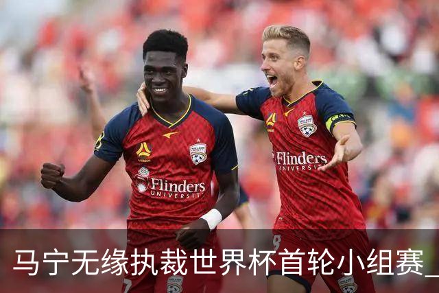 马宁无缘执裁世界杯首轮小组赛 中国裁判三人组仅傅明亮相